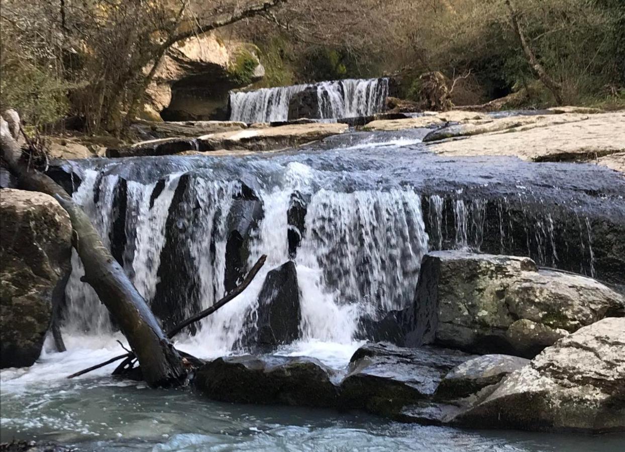 B&B Il Grifo Bomarzo Esterno foto