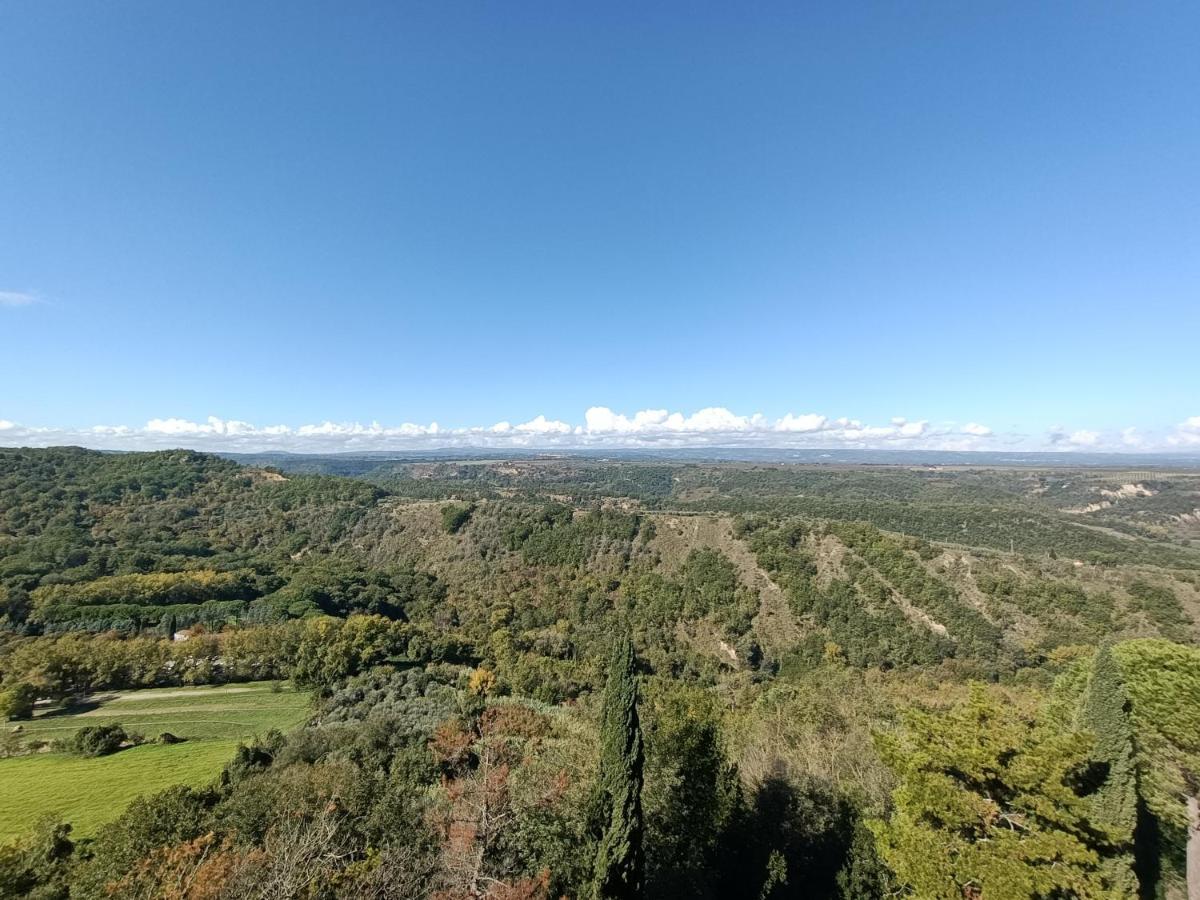 B&B Il Grifo Bomarzo Esterno foto